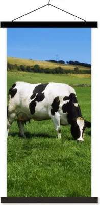 Produktbild von MuchoWow® Textilposter Kuh - Tiere - Gras 60x120 cm mit schwarzem Rahmen - Magnete