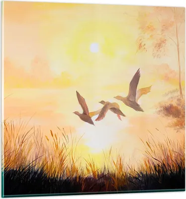Produktbild von Bilder auf glas - Vogel Natur Wasser - 70x70cm - Glasbilder - Wandbilder - Kunstdruck - zum Aufhängen bereit - Wanddekoration aus Glas - Glas Bilder - Wandbild auf Glas - Einteilig - GAC70x70-3686