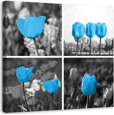 Produktbild von Leinwandbild tulpenblüten natur collage 50x50 cm Feeby blau wandbild bereit zum aufhängen