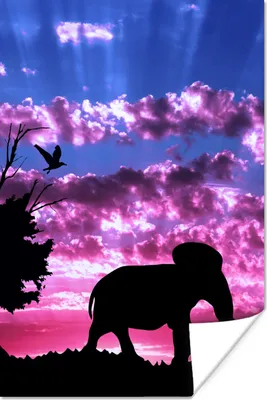 Produktbild von MuchoWow® Poster Elefant - Vogel - Lila - Rosa 40x60 cm - Plakate für die Wand - Poster Babyzimmer