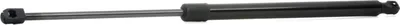 Produktbild von RIDEX 219G0838 Gasfeder Heckklappendämpfer für VW Transporter IV Bus (70B, 70C, 7DB, 7DK, 70J, 70K, 7DC, 7DJ) 570mm