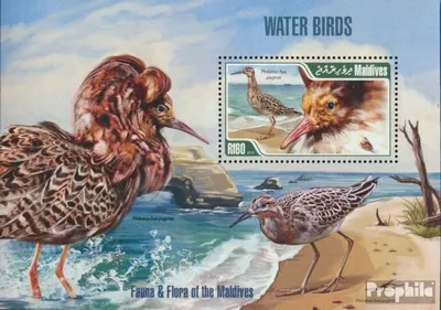 Produktbild von Briefmarken Malediven 2013 Mi Block 650 (kompl. Ausg.) postfrisch Vögel