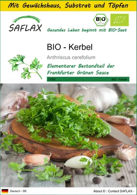 Produktbild von SAFLAX Anzucht Set - BIO - Kerbel - Anthriscus cerefolium - 800 Samen - Mit Mini-Gewächshaus, Anzuchtsubstrat und 2 Töpfen