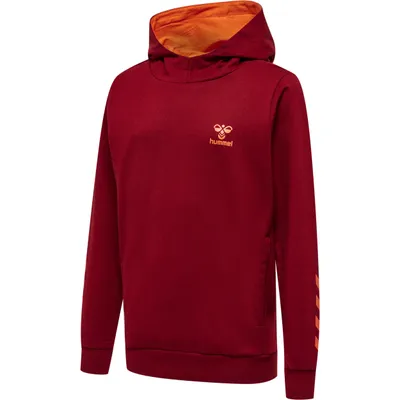 Produktbild von Hummel hmlOFFGRID Baumwolle HOODIE KIDS