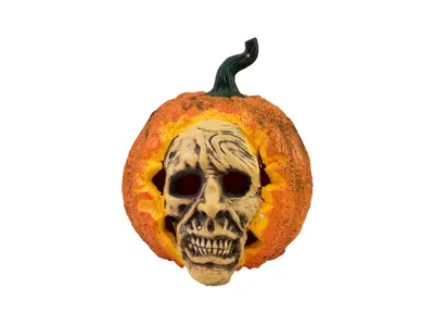 Produktbild von EUROPALMS Halloween Totenkopf-Kürbis, 26cm (83316073)