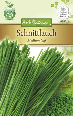 Produktbild von Schnittlauch Medium leaf | Schnittlauchsamen von N.L. Chrestensen