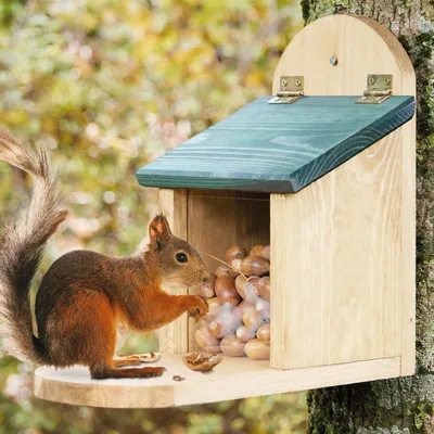 Produktbild von zooprinz Eichhörnchen Futthaus | Futterspender | Futterstation | Plexiglas | Wetterfest | Vollholz