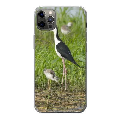 Produktbild von MuchoWow® Handyhülle Schutzhülle Hülle für iPhone 13 Pro Max Vogel - Gras - Küken - Sumpf Silikon Softcase Handy Hülle - Mobiltelefon