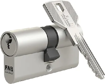A silver lock cylinder with a key inserted.