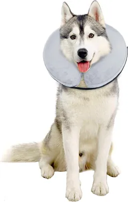 Produktbild von Bencmate Aufblasbare Halskrause für Hunde & Katzen, Hundekragen Leckschutz Hund für Genesung nach Operationen oder Wunden, Die Sicht Nicht Blockiert