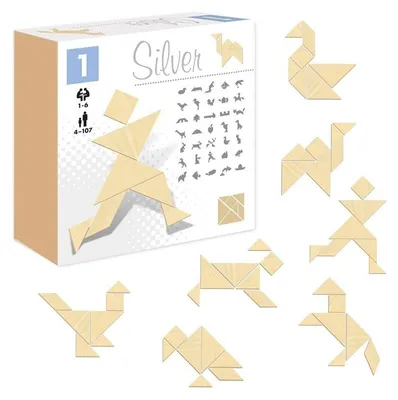 Image de Tangram argenté