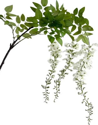 Produktbild von Hill Interiors - Glyzine Strauß Künstliche Pflanze HI5243 (180 cm) (Weiß/Grün)