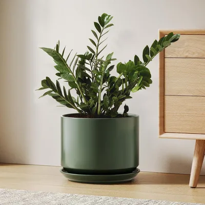 Image de Pot de fleurs en céramique, 25 cm, avec soucoupe et trou de drainage, couleur verte
