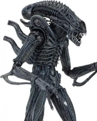 Produktbild von NECA ALIENS FIGURE GENOCIDE XENOMORPH 2 PACK BIG CHAP & DOG ALIEN NEW Neca