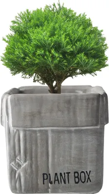 Produktbild von Kreative Pappschachtel Design Zement Pflanzer Urnen, Pflanzer Für Indoor-Pflanzen Blume Sukkulenten Pflanze Töpfe(Grau,10cm)