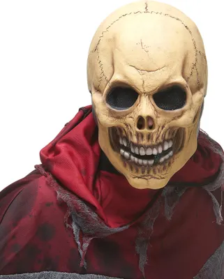 Zdjęcie produktu dla Straszna maska czaszka na Halloween dla dorosłych - jeden rozmiar