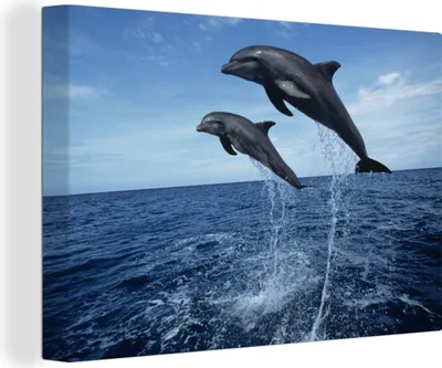 Produktbild von MuchoWow® - Leinwandbilder - Delfin - Meer - Tier, Wandbild, Wanddeko Bilder Wohnzimmer, 90x60 cm
