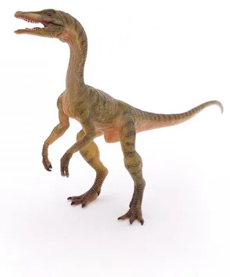 Image de Papo 55072 Figurine Compsognathus