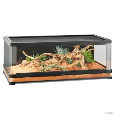 Produktbild von Exo Terra Vista 120 - Panorama-Terrarium 120x60x45cm