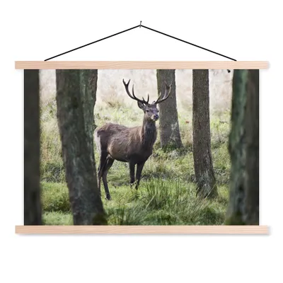 Produktbild von MuchoWow® Textilposter Hirsche - Bäume - Gras 60x40 cm mit holzfarbenen Rahmen - Bilder