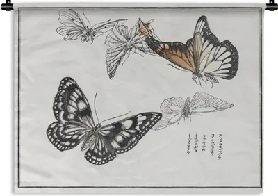 Produktbild von MuchoWow® Wandteppich Wandbehang Schmetterling - Vintage - Japan 150x112 cm Tapisserie Dekoration Wandtuch - Wanddecke - Wandteppiche