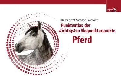 Immagine prodotto di Punkteatlas der wichtigsten Akupunkturpunkte - Pferd