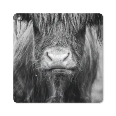 Produktbild von MuchoWow® Mauspad Mousepad Schottischer Highlander - Kuh - Schwarz - Weiß - Tiere 20x20 cm - Mousepads - Maus Mat - Pad - Mausunterlage - Desk Mat - Bureauartikeln