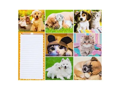 Image de Blocs magnétiques, animaux, assortiment
