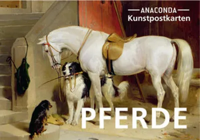 Image de Postkarten-Set Pferde