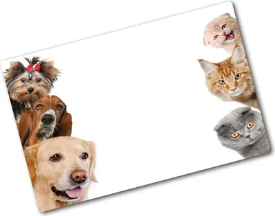Produktbild von Tulup Glas Herdabdeckplatte - 80x52 cm - Glaskeramikkochfeld-Abdeckung Spritzschutz Glasabdeckplatte - Einteilig - Tiere - Hunde Katzen - Beige