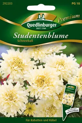 Zdjęcie produktu dla Quedlinburger Saatgut - Nagietek śnieżny - Nasiona - 292203