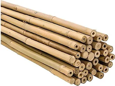 Productafbeelding van Famanu plantensteunen met ringen - bamboe klikgeleiders - 60 cm - verpakking van 25 stuks - Ø 6-8 mm