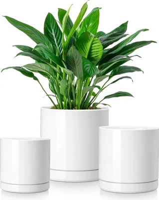 Produktbild von Keramischer Blumentopf, Ideal für Sukkulenten, Dekorativer Tischvase, Weiß