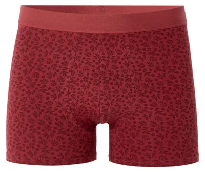 Obrázek produktu pro Boxerky Celio Miboflori XXL