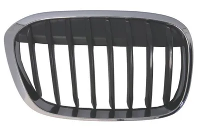 Image de Grille de radiateur BLIC 6502-07-0082994MP