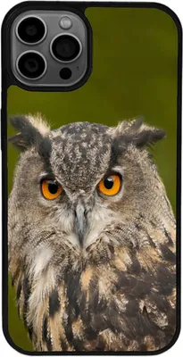 Produktbild von TPU Silikon Hülle für iPhone 14 PLUS Handy Cover Case Schutzhülle Handyhülle Bumper MOTIV 141 Eule