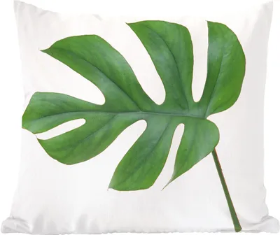 Produktbild von MuchoWow® Zierkissen Sofakissen Wohnzimmer Dekokissen 60x60 cm Botanisches Blatt auf weißem Hintergrund - Sitzfläche - Foto Polster