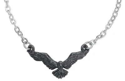 Obrázok produktu pre Náhrdelník Alchemy Gothic Ravenette, strieborná farba