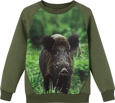 Produktbild von Wadera, Baumwolle Pullover Kinder Kinderpullover, 116/122, Grün, mit Wildschwein