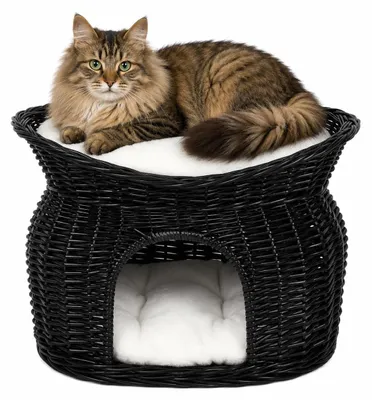 Image de lionto Panier pour chats, panier en osier avec grotte & toit de repos, 2 coussins inclus, stable & durable, 55x39x43 cm, noir