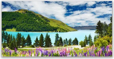 Produktbild von Acrylglasbilder 120x60 Wandbild Druck Gebirge Wald See Wiese Landschaft