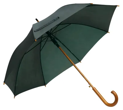Image de L-Merch - Parapluie automatique à manche en bois « Tango » LT5560 (89 cm x 103 cm) (vert foncé)