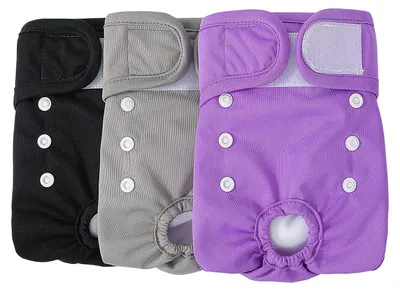 Productafbeelding van Solidchoice - Set van 3 Absorberende Hondenluiers voor Training en Comfort