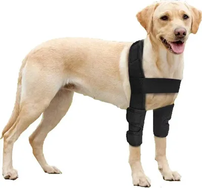 Produktbild von Atmungsaktive Ellenbogenbandagen-Schutzpolster für Hunde zur Unterstützung von Ellenbogen und Schulter bei Ellenbogenhygromen, Dysplasie, Arthrose, Hornhautschwielen und Druckstellen.