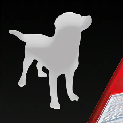 Produktbild von Auto Aufkleber Labrador Labbi Retriever Dog Hund Dog Tier 10x12 cm Silber Sticker Heckscheibenaufkleber