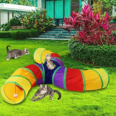 Produktbild von Kleiner, opvouwbarer Regenbogen-Tunnel für Hunde, Katzen, kleine Haustiere
