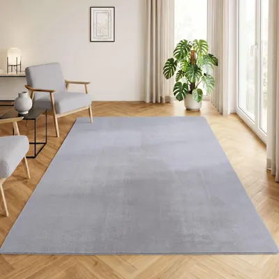 Image de Homebyhome Tapis Lavable à Poils Courts Antidérapant et Doux Design Uni Moderne pour Salon et Chambre à Coucher, Taille: 200x290 cm