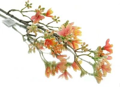 Produktbild von GASPER Scheinquittenzweig Korall 51 cm - Kunstblumen
