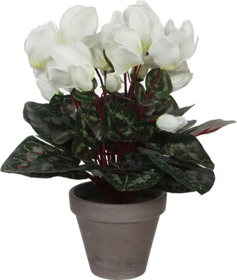 Produktbild von Mica Decorations Cyclamen Kunstpflanze im Blumentopf Stan - H30 x Ø30 cm - Weiß