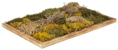 Produktbild von Moosbild mit Echtem Konserviertem Moos und Naturzweigen, Wanddeko 60x40 cm für Büro und Zuhause